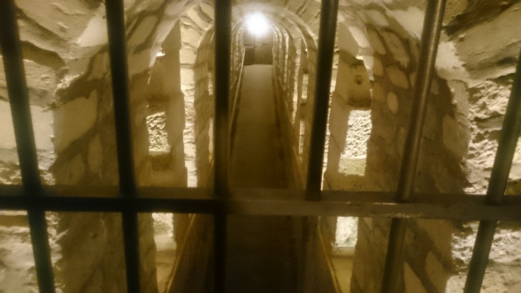 Scaled image DSC_5028.JPG 