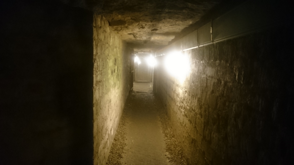 Scaled image DSC_5029.JPG 