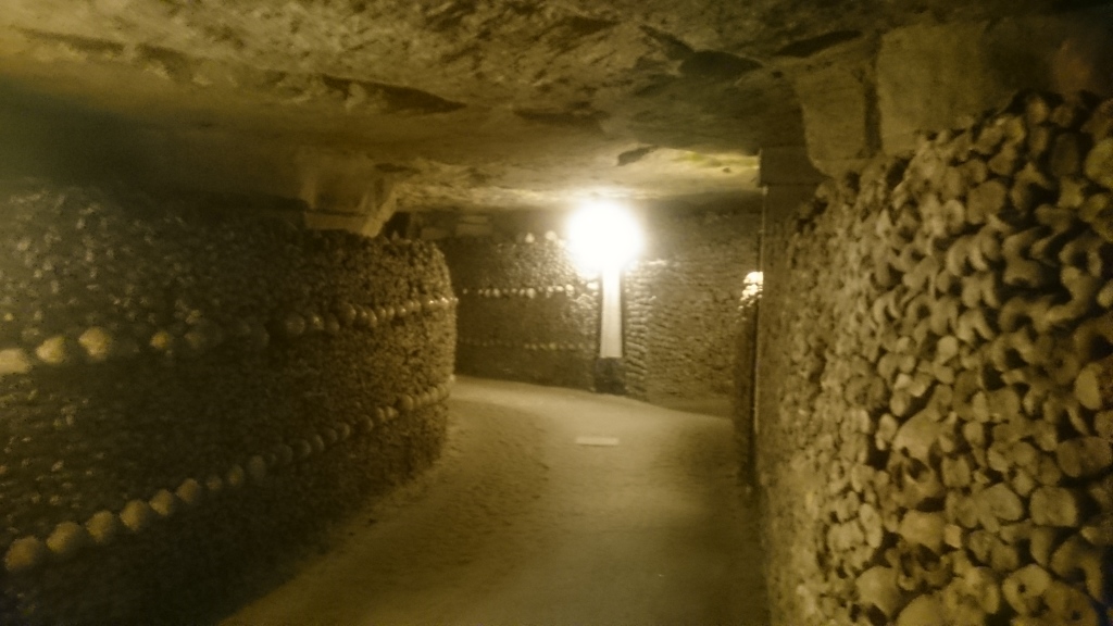 Scaled image DSC_5041.JPG 