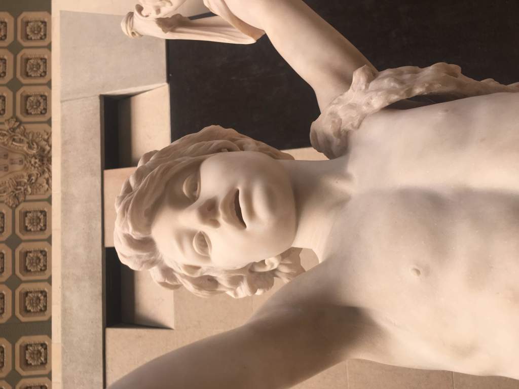 Scaled image IMG_4305.jpg 