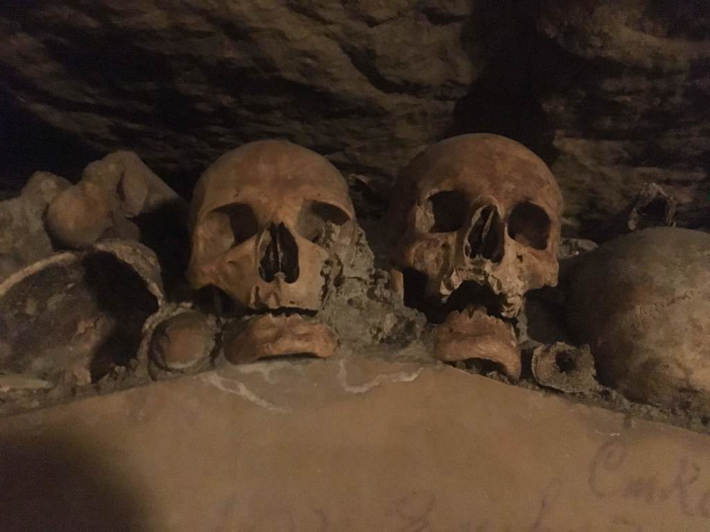 Scaled image IMG_4462.jpg 