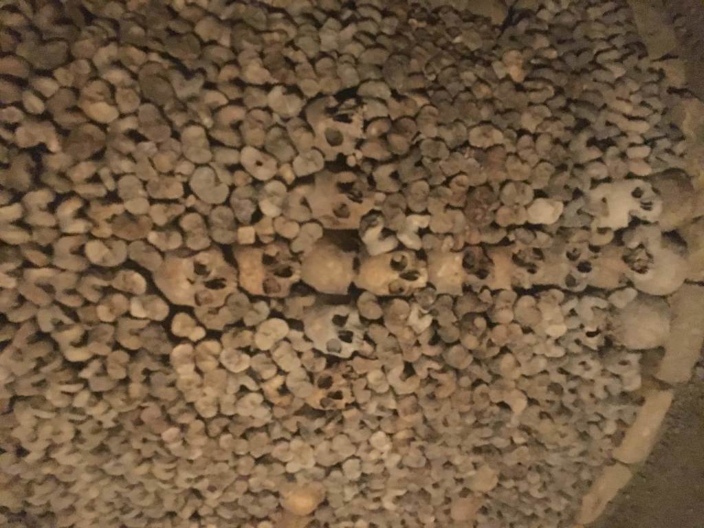 Scaled image IMG_4463.jpg 