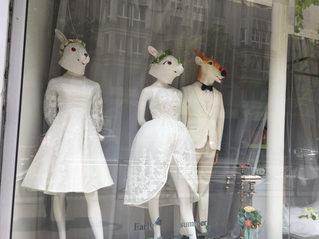 Scaled image IMG_4497.jpg 