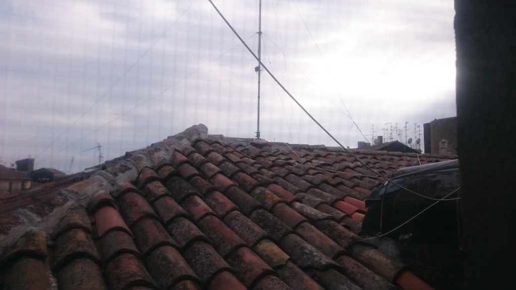 Scaled image DSC_4325.JPG 