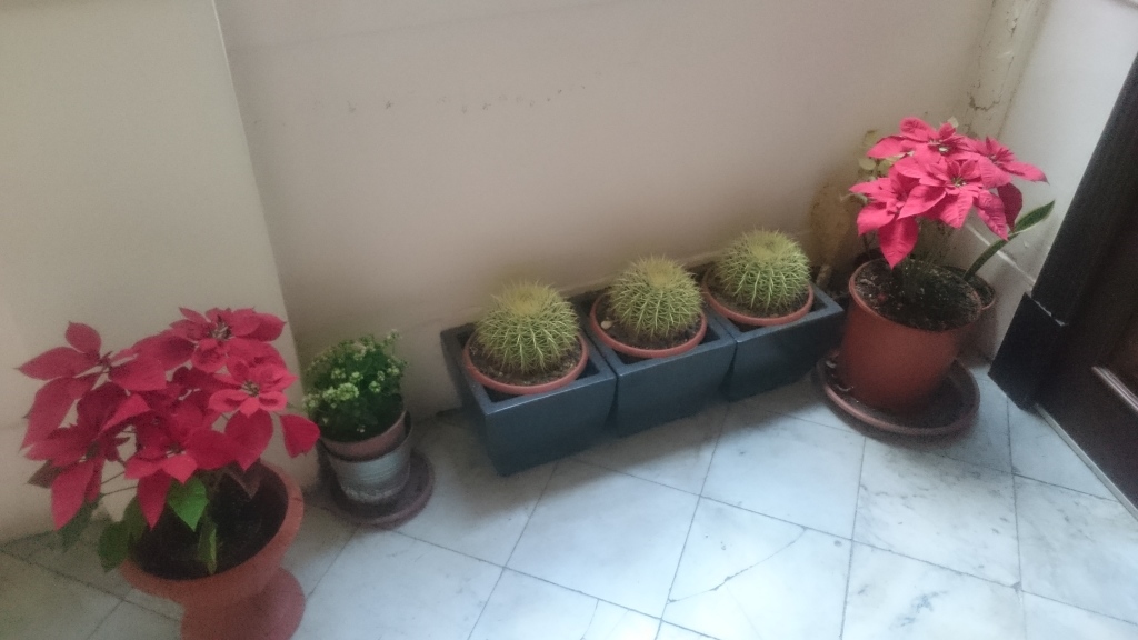 Scaled image DSC_4332.JPG 