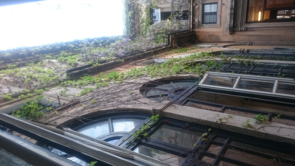 Scaled image DSC_4335.JPG 