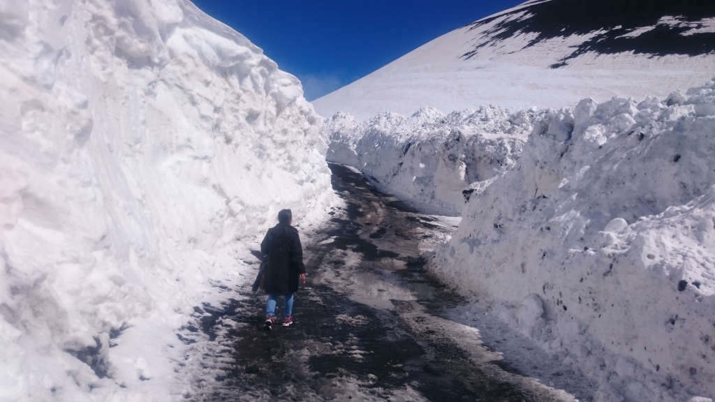 Scaled image DSC_4365.JPG 