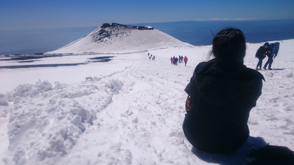 Scaled image DSC_4378.JPG 