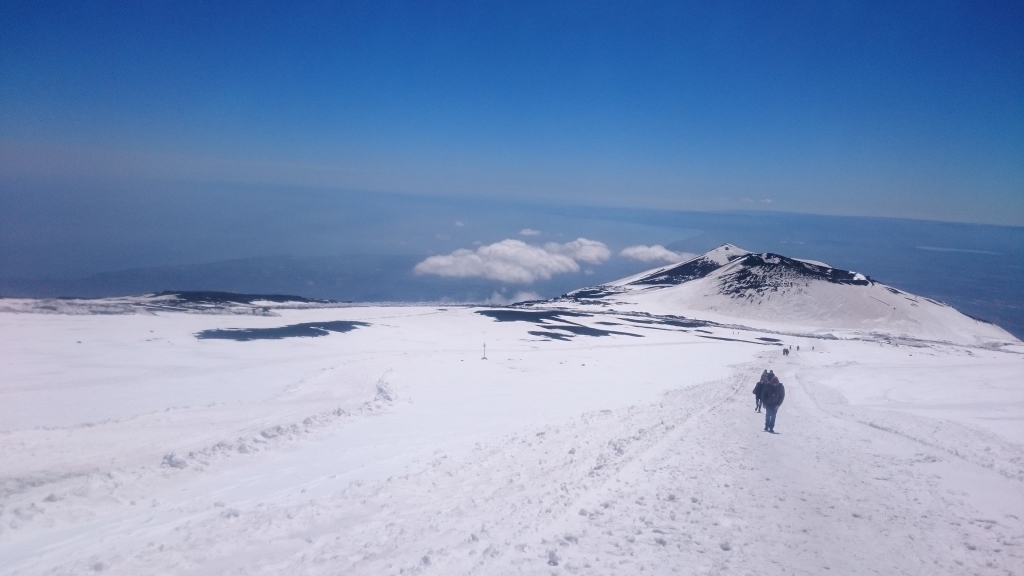 Scaled image DSC_4380.JPG 