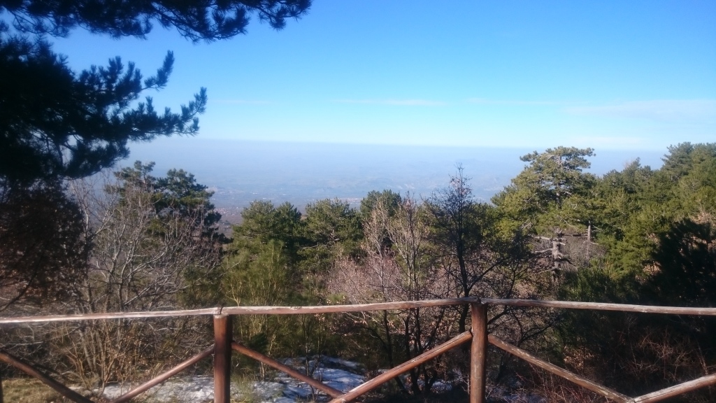 Scaled image DSC_4423.JPG 