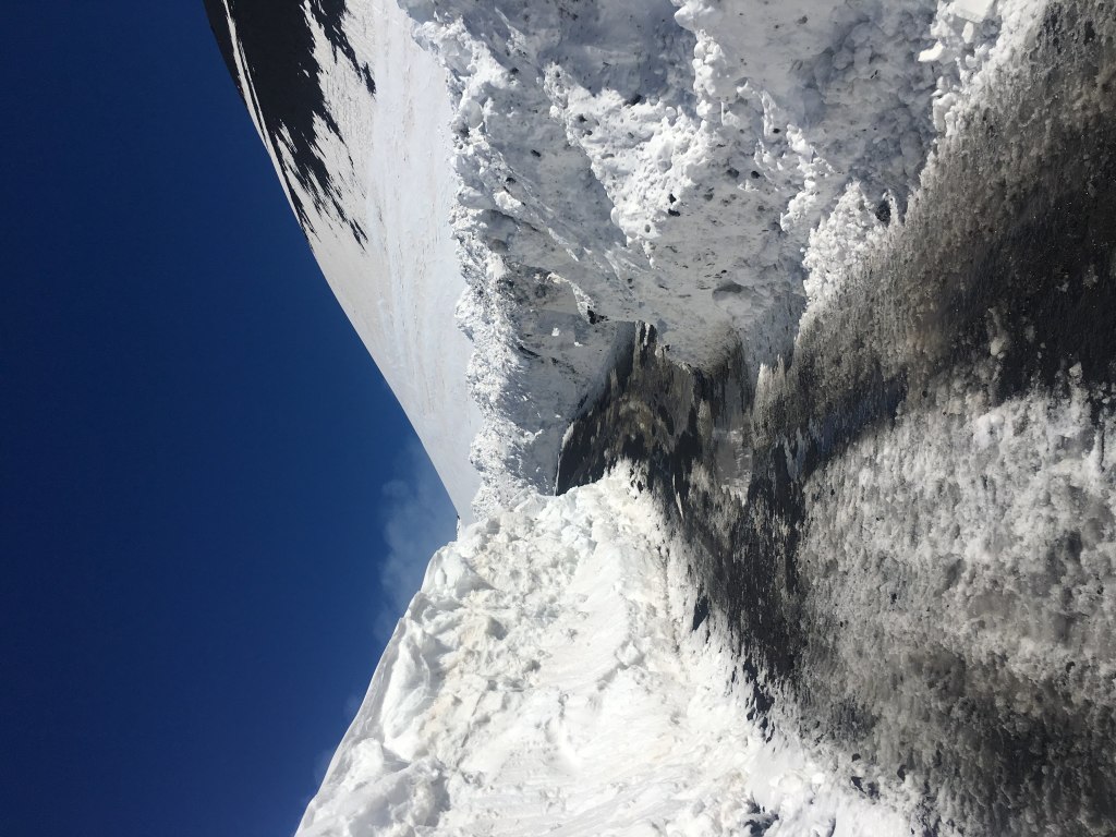 Scaled image IMG_3110.jpg 