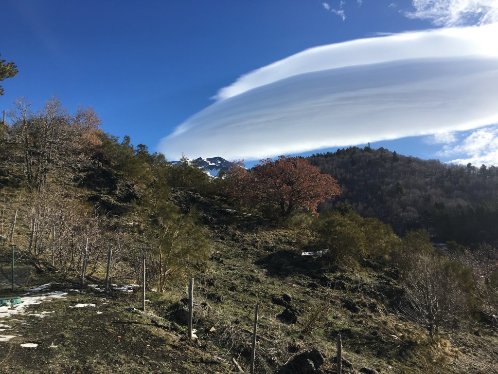 Scaled image IMG_3158.jpg 