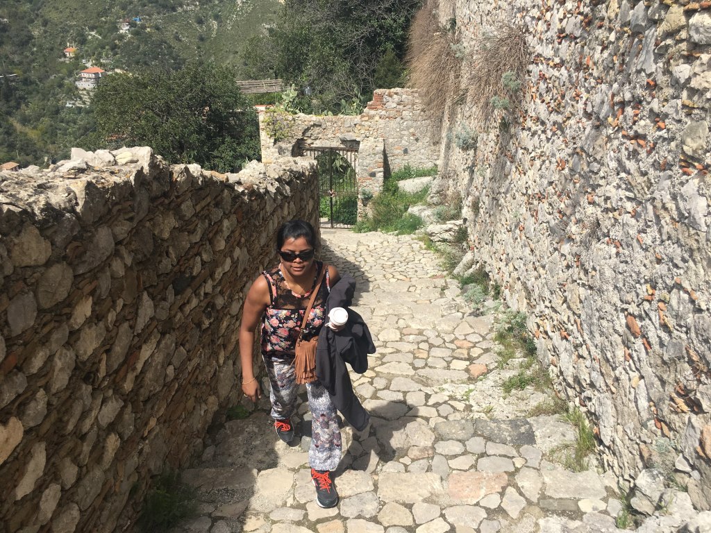 Scaled image IMG_3382.jpg 