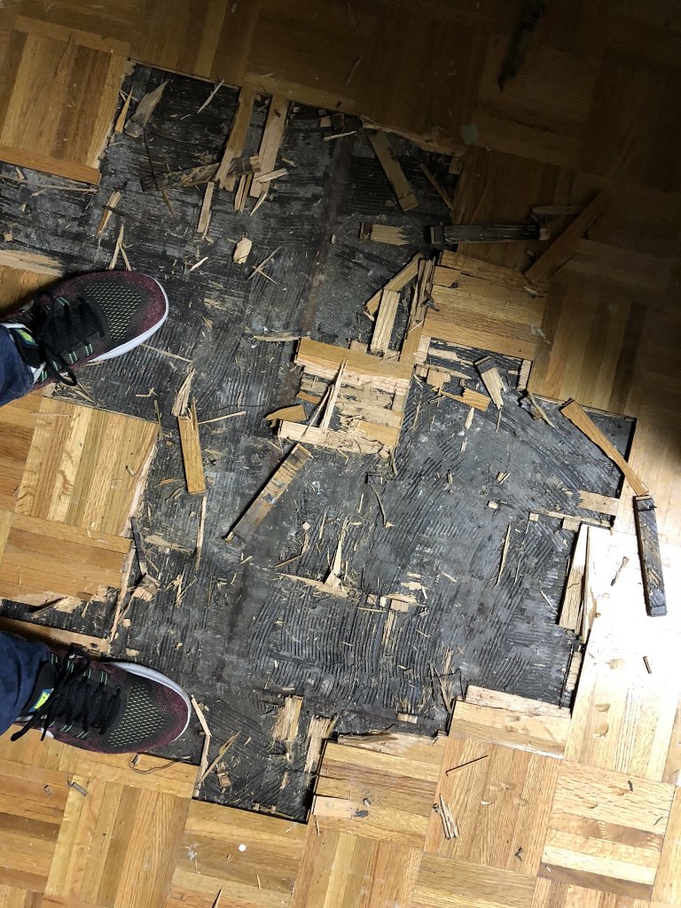 Scaled image 5bbcf153-e8ab-44d5-ba5b-342d7548282a.jpg 